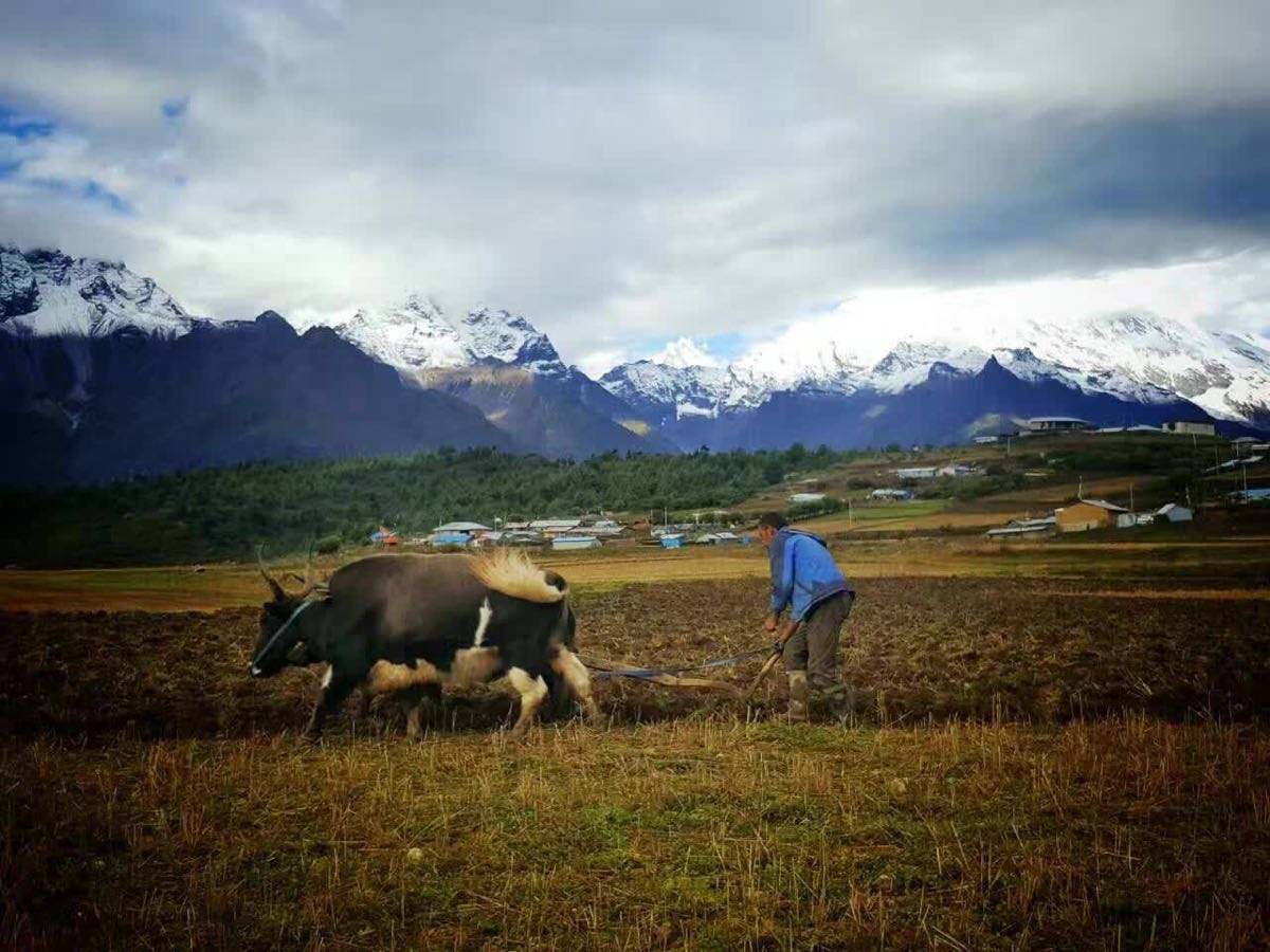 希夏邦马峰旁边是珠峰吗,希夏邦马峰和珠穆朗玛峰