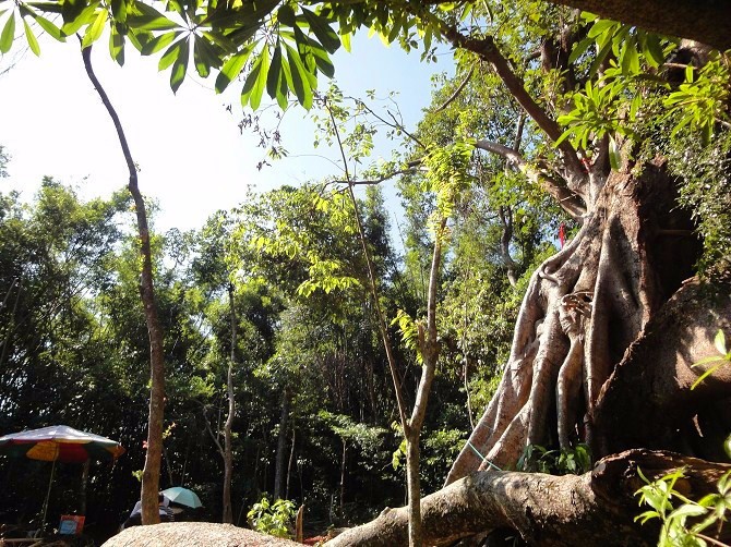 名气不及北海，这座南方边陲小城现在却比三亚更受北方人青睐！