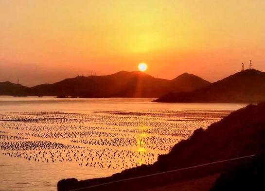 超过11000家旅行社已经倒闭！老总卖凉粉？看旅游从业者如何自救