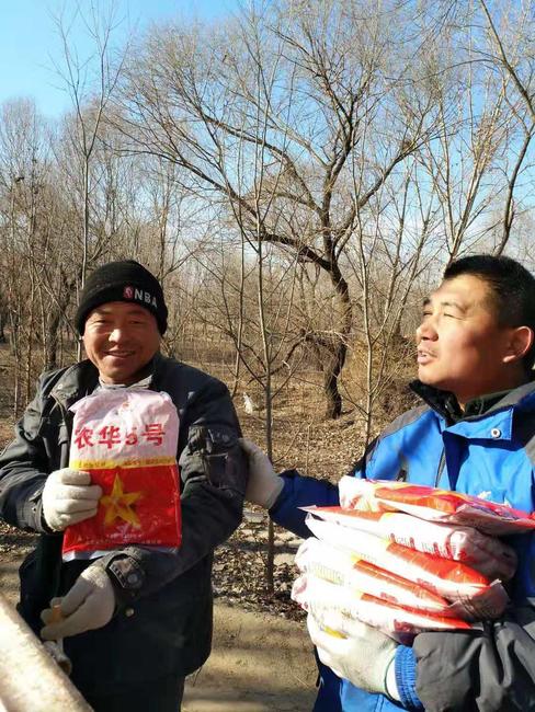 抗性好容重高的玉米种,抗逆性强的玉米种