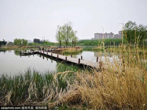 北京夏天傍晚值得去的地方,八月份北京适合旅游的地方推荐
