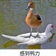 放大招！你的微信可以赚钱了，网友：支付宝有压力……