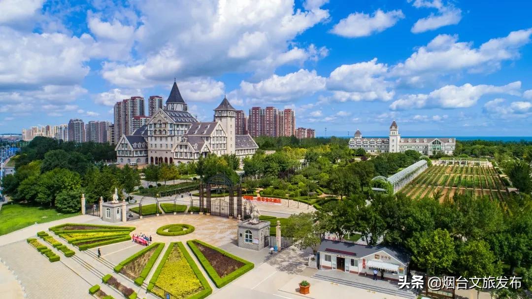 烟台产张裕霞多丽干白葡萄酒价格,烟台张裕干红葡萄酒价格表