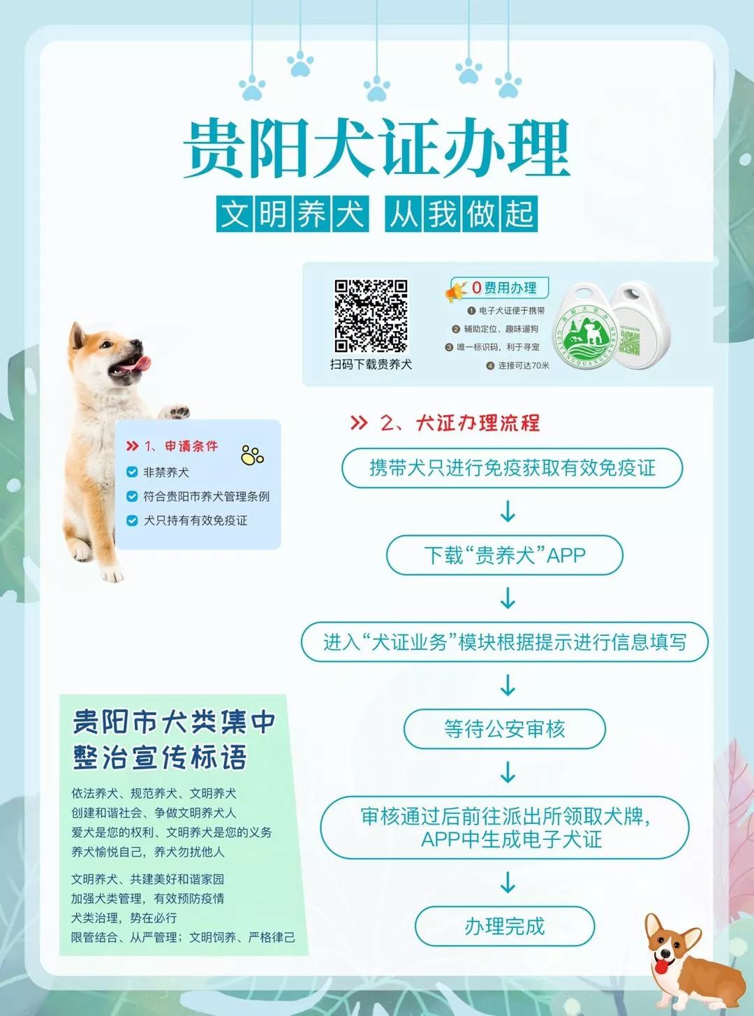 贵阳狗证怎么在网上办理,贵阳网上怎么申请犬证