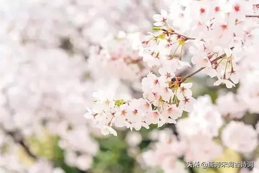 颠覆认知的古诗,颠覆认知脑洞大开的语句