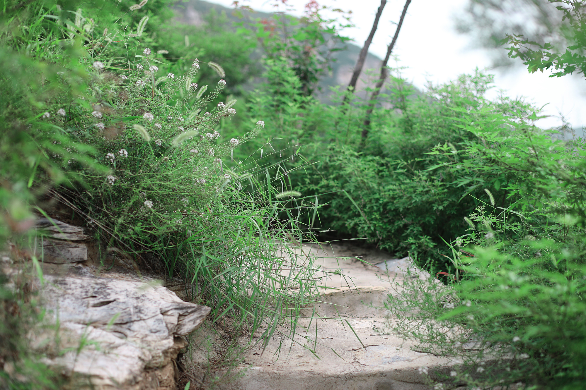 京郊房山登山路线,房山东港登山步道