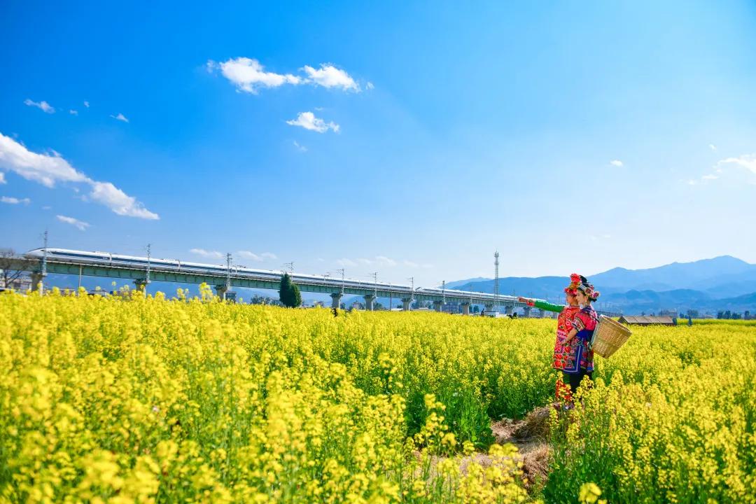 2023平遥国际摄影节获奖摄影作品,2009大理摄影展获奖作品