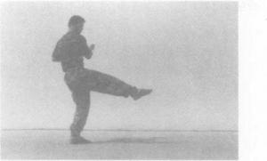 警用防暴棍对战短刀,警用棍式防暴器