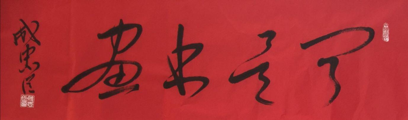 今年鼠年老鼠进家,鼠年老鼠进家是好还是坏