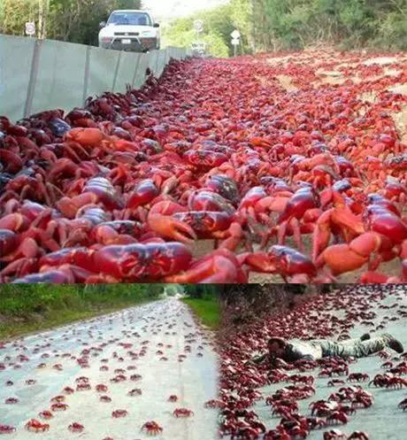 80张惊艳美图,80张风景图片大全