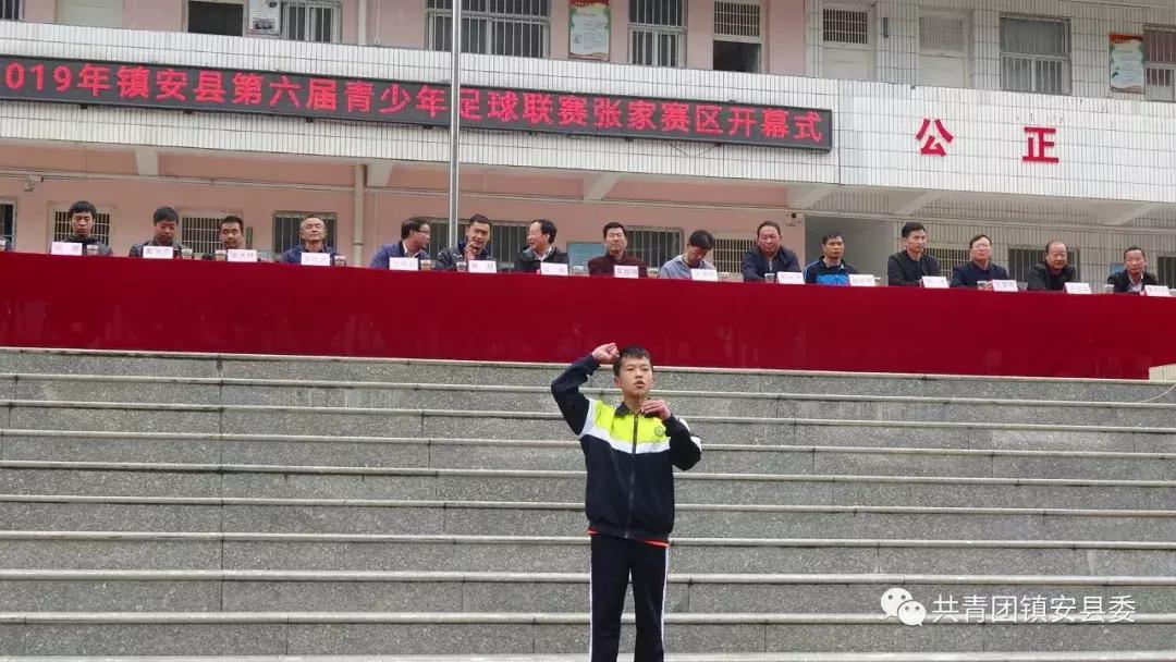 全国青少年校园足球联赛镇安,姚安县校园足球联赛