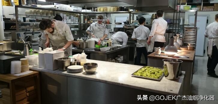 酒店厨房油烟净化器型号,酒店厨房油烟净化器价格表