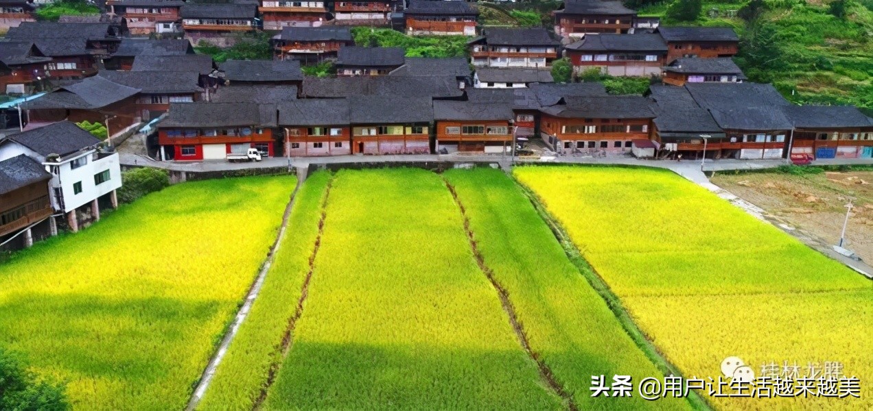 龙胜哪儿有好看的景区,广西的龙胜有什么好玩的