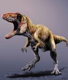 十大肉食性恐龙排名,肉食性恐龙吃什么