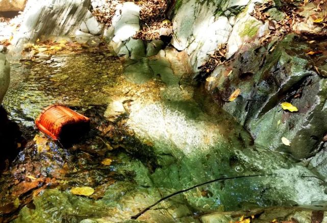 麦哲伦航线·第二站：阳产德味儿民宿合伙人-小丫TUYA