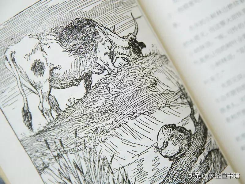 成长寓言故事,给孩子讲寓言故事经典