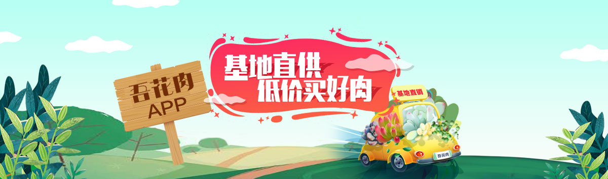 又萌又美丽好养的多肉,哪些多肉是小可爱种的