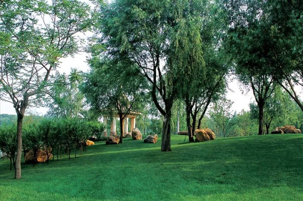 高价拿地后，南充这些楼盘卖的好吗？你会买吗？