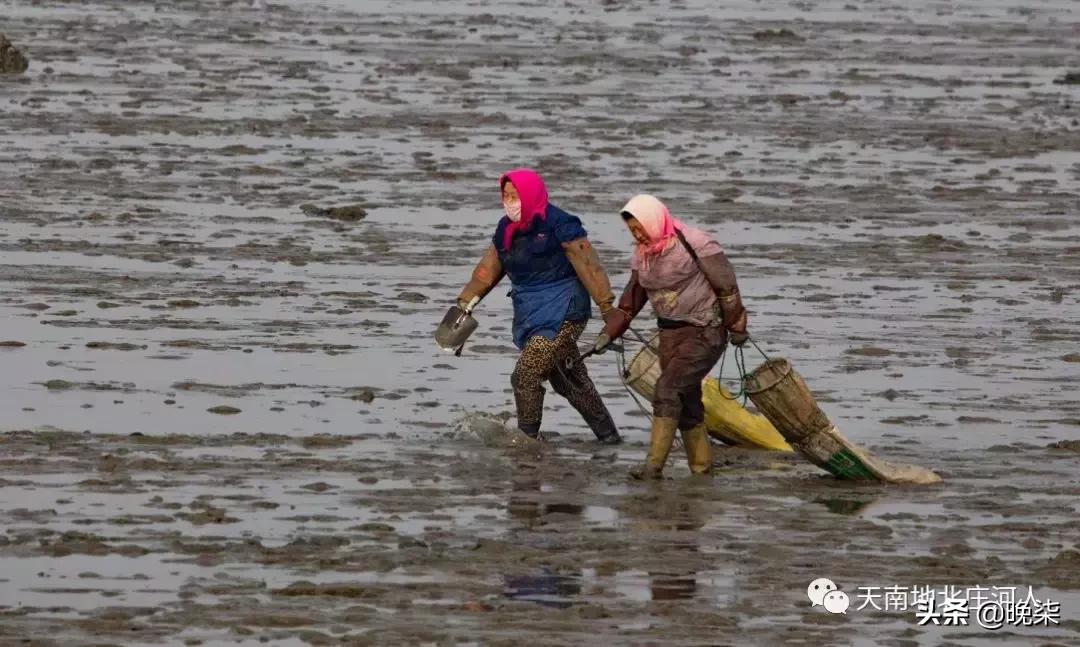 大连庄河赶海排名第一名,庄河赶海网红视频