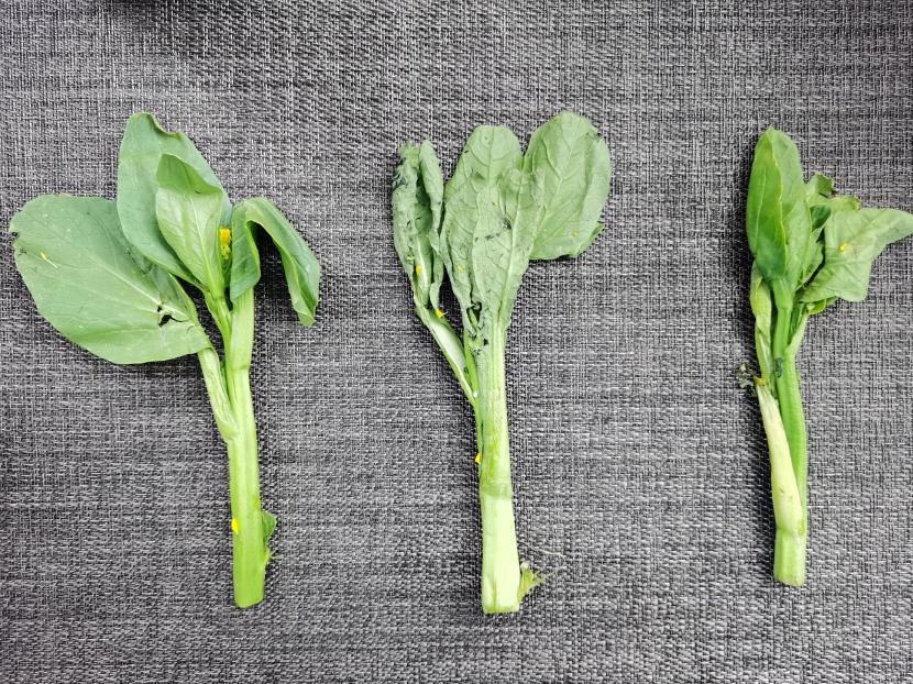 海尔538升无霜变频对开门超薄冰箱,海尔冰箱bcd-541怎么调节冷藏温度