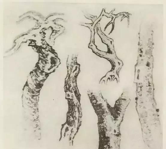 缠枝、挺杆、屈节、钮裂、一棵树如何画？看了这篇你绝对能学会