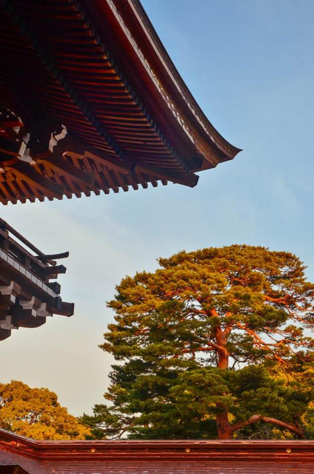 东京有几个宫殿,去东京参拜哪里神宫比较好