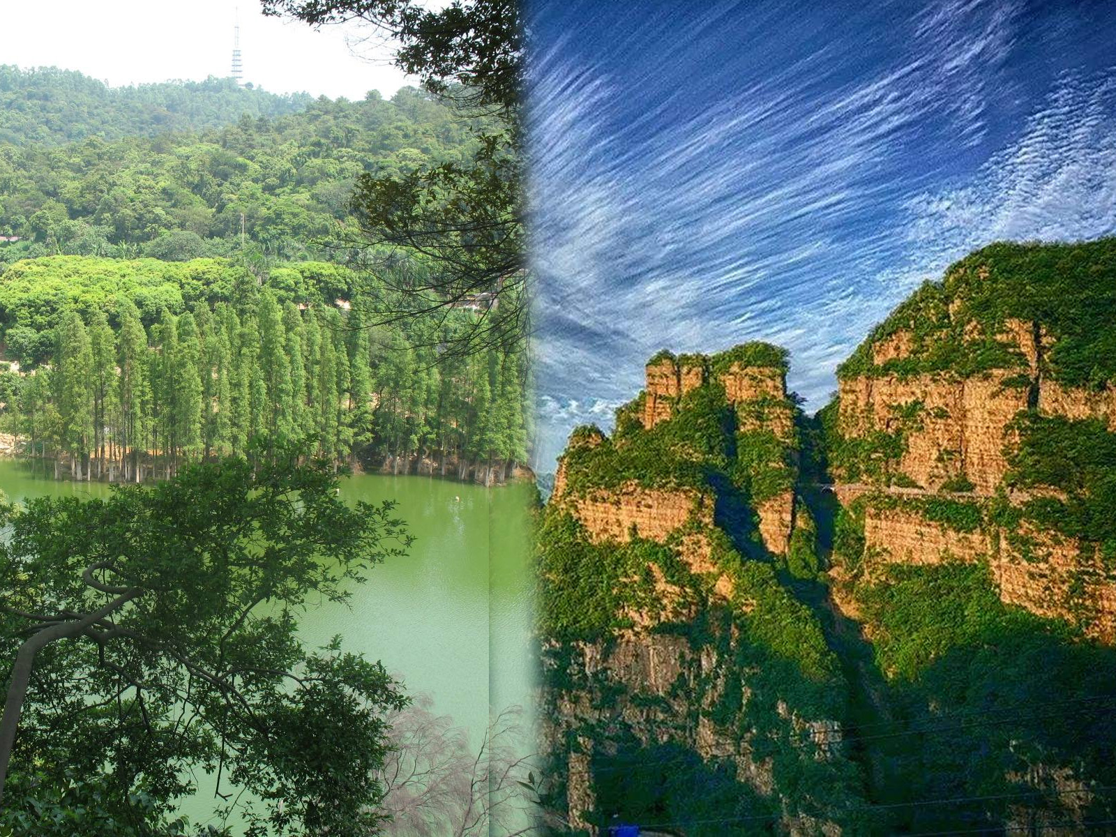 北方人来南方都有什么反应,北方人来到南方才知道冷