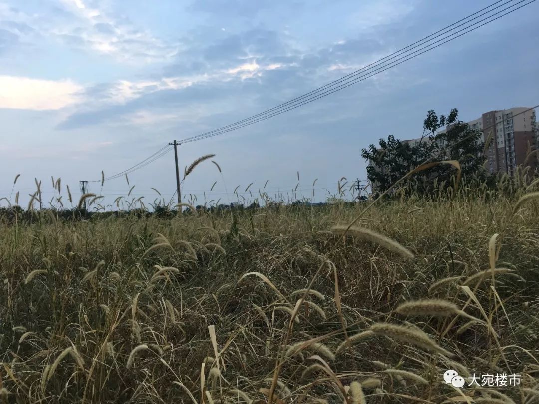 南阳三馆一院是不是每天都开,南阳三馆一院平时人多不