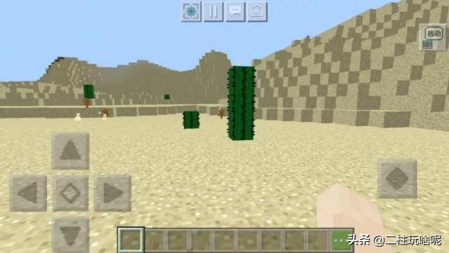 十大珍稀植物排行榜,中国十大珍稀植物排名