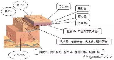 代购的护肤品伤害皮肤,用劣质化妆品导致了白癜风