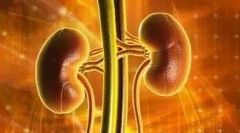 过敏性紫癜引起尿潜血怎么办,过敏性紫癜出现尿潜血