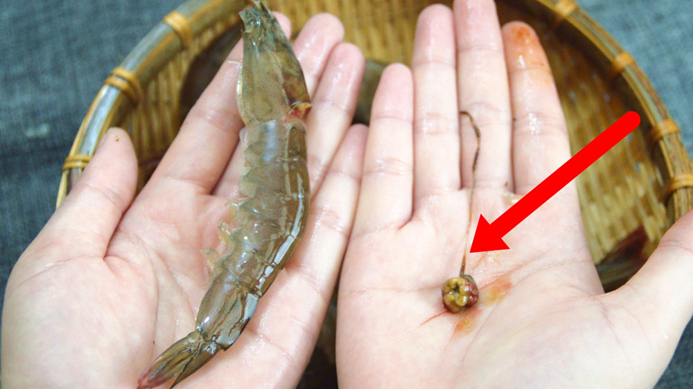 虾里发现寄生虫,虾里面发现虫子