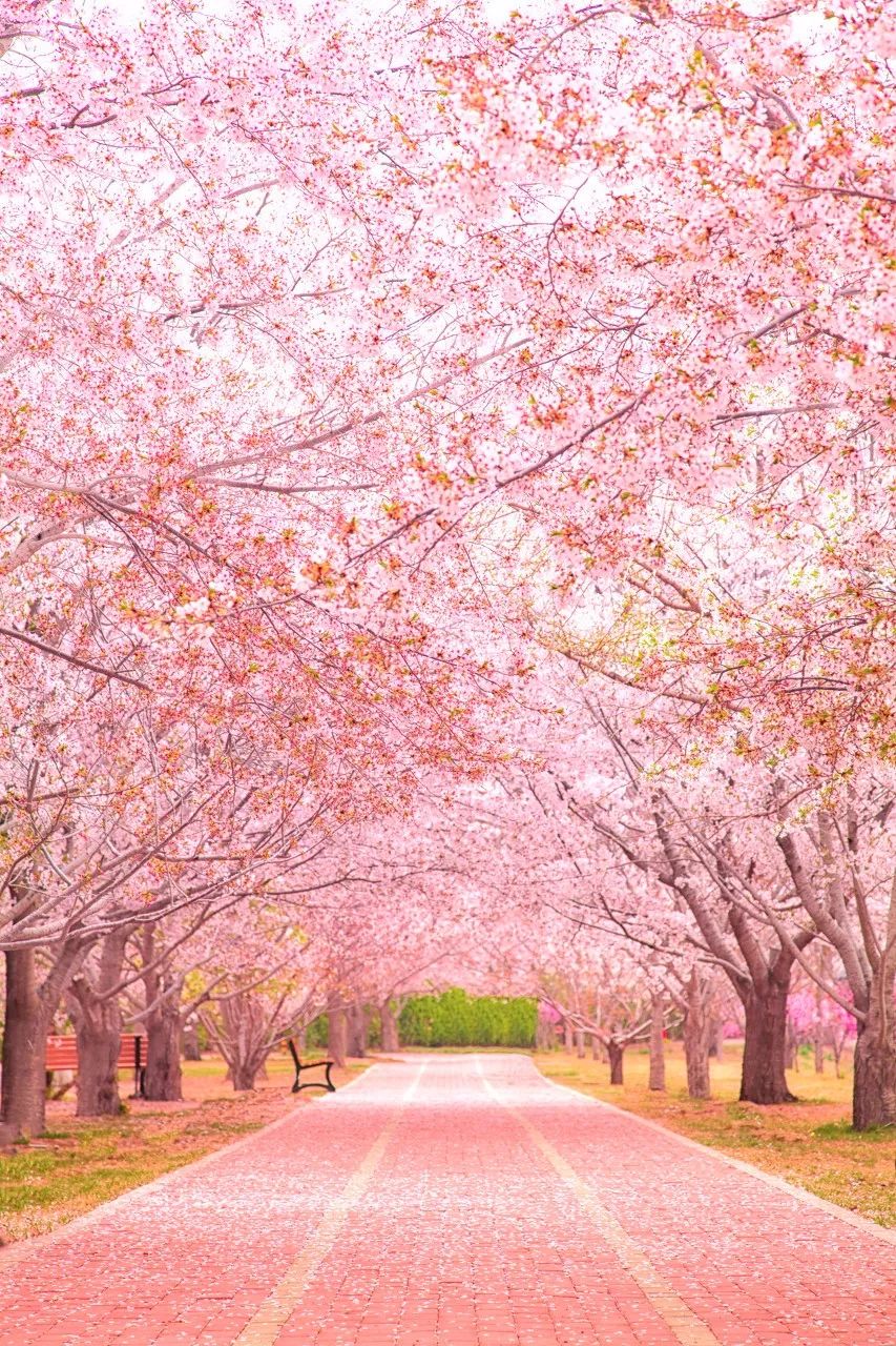 忽然想去旅游了,忽然想去宁波了