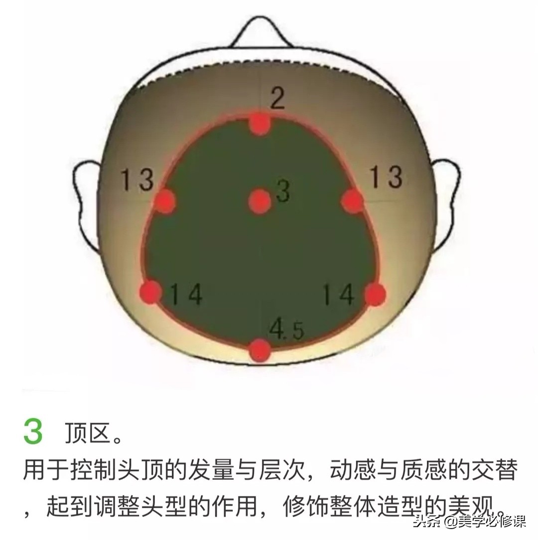 美发基础知识点线面分区手法,美发教学基本功头发分区