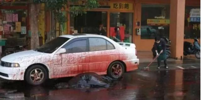 海域发现最大的鲸鱼,现在发现海上最大鲸鱼有多大