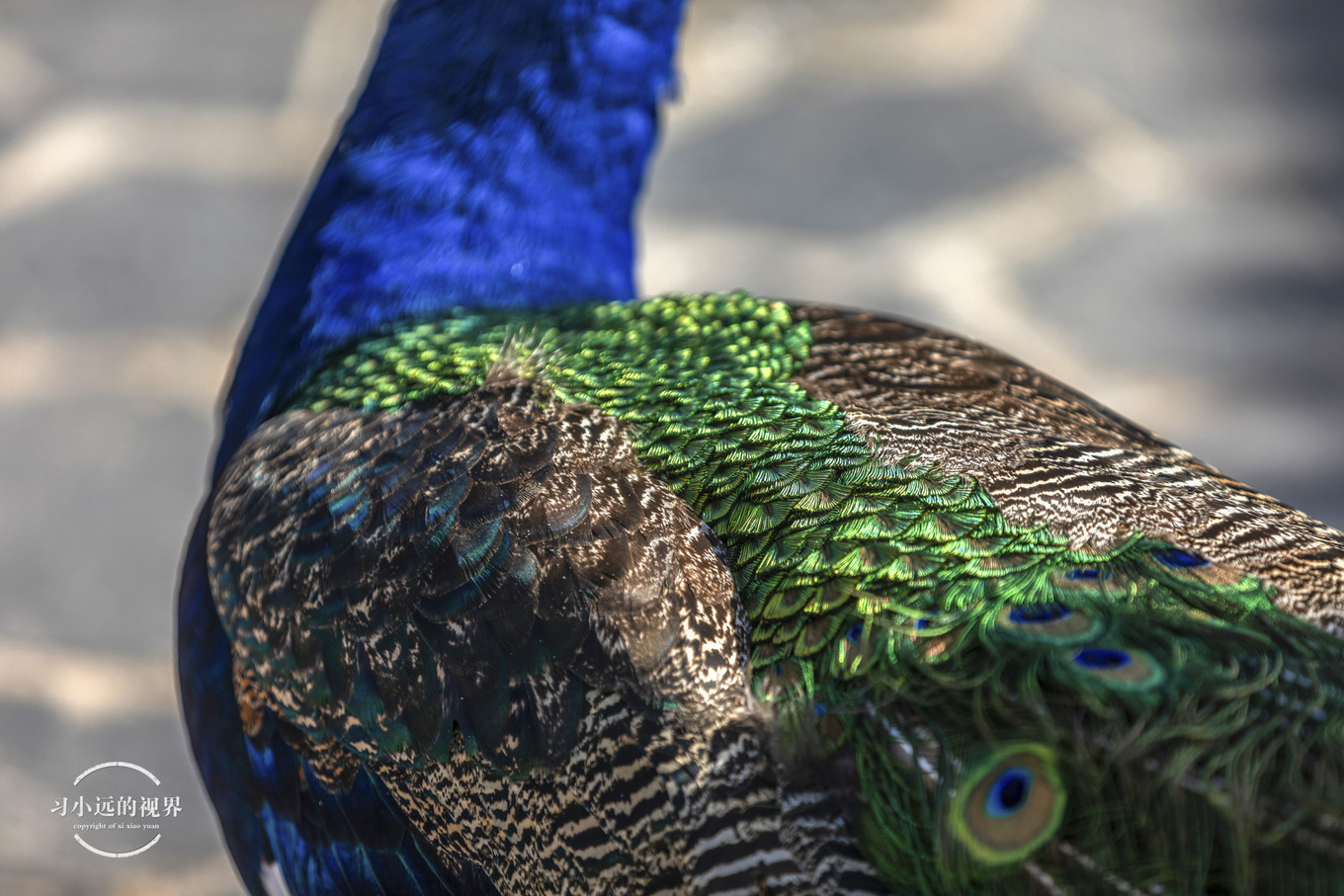 合肥万佛湖二日游攻略,合肥市区旅游攻略一日游