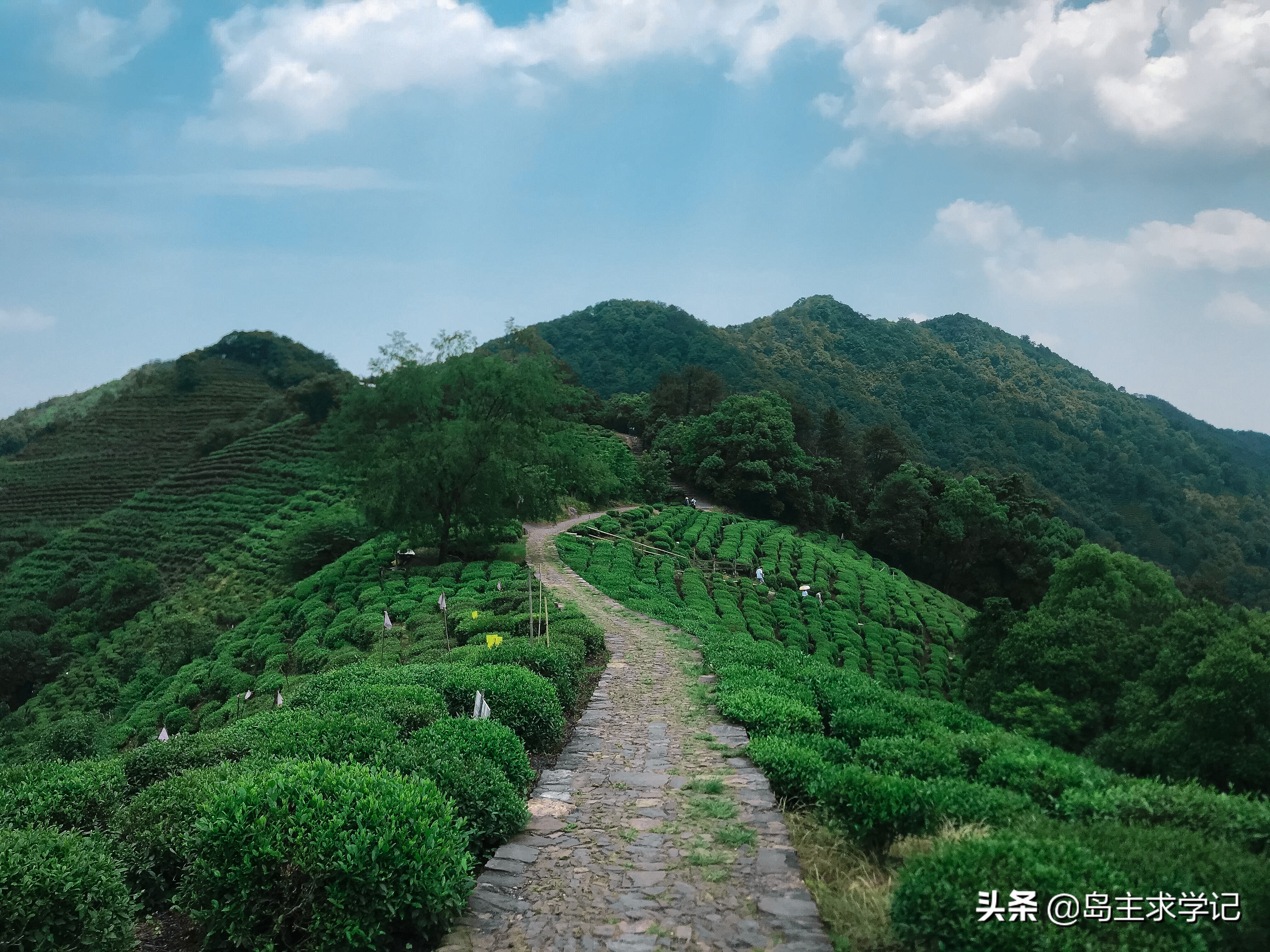 杭州西湖仙境云栖竹径,杭州好玩的地方推荐云栖竹径