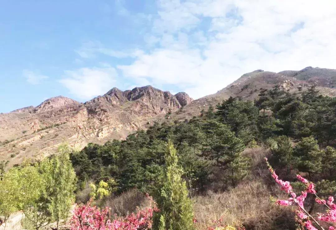 成山头始皇东巡演出时间,秦皇东巡演出