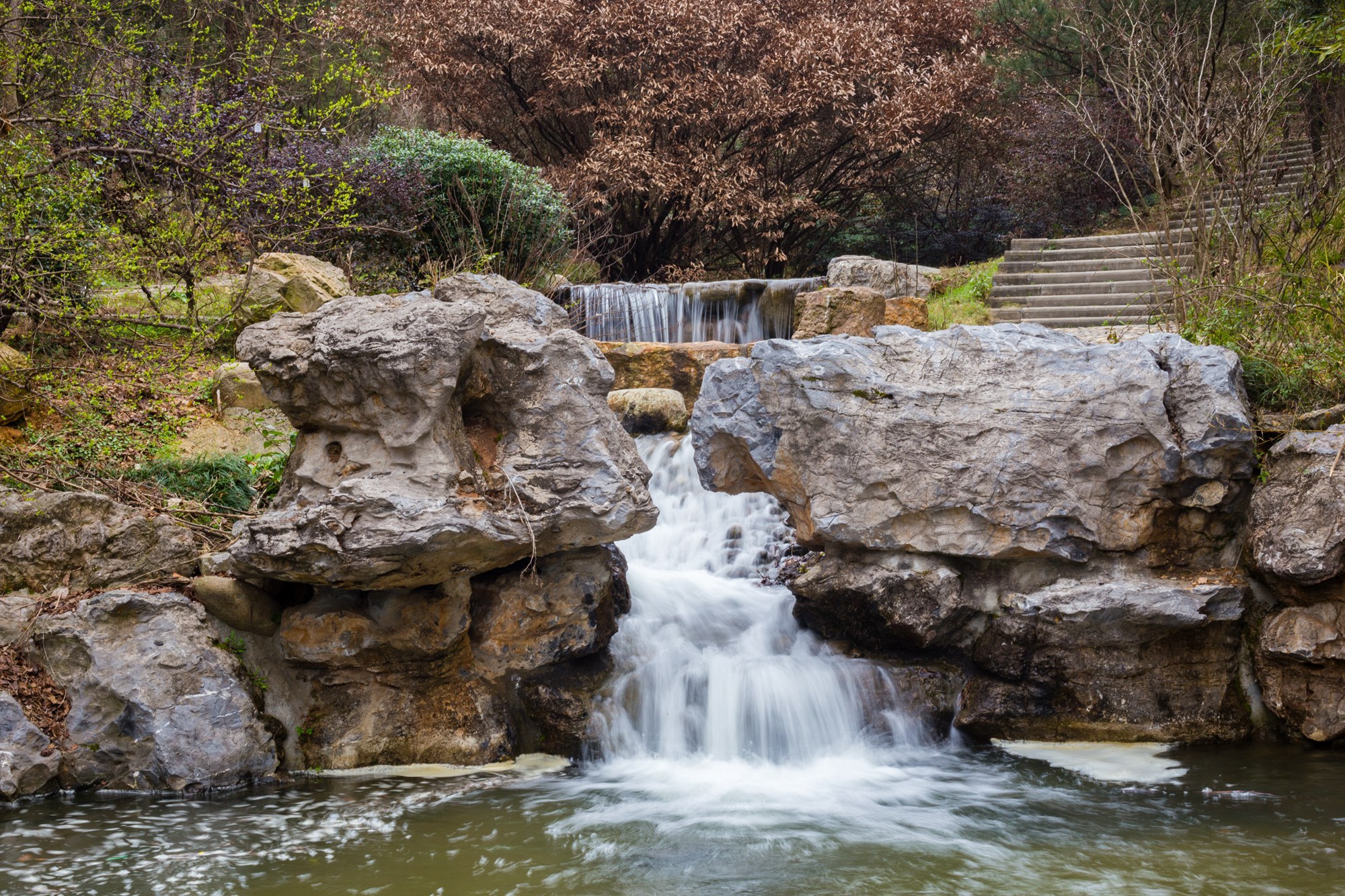今日春分,武汉这时候不仅有樱花,这里的花随风一吹人都酥了