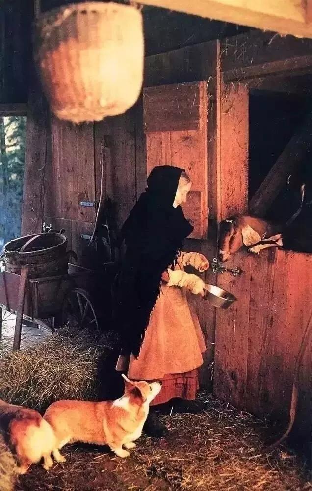 高级英式婚礼视频,法式花园风格婚礼