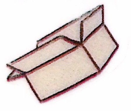 新手如何照顾小奶猫,怎么样照顾一个月左右大的小奶猫