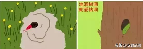 蛇在什么情况下才会主动攻击人,蛇会互相攻击吗