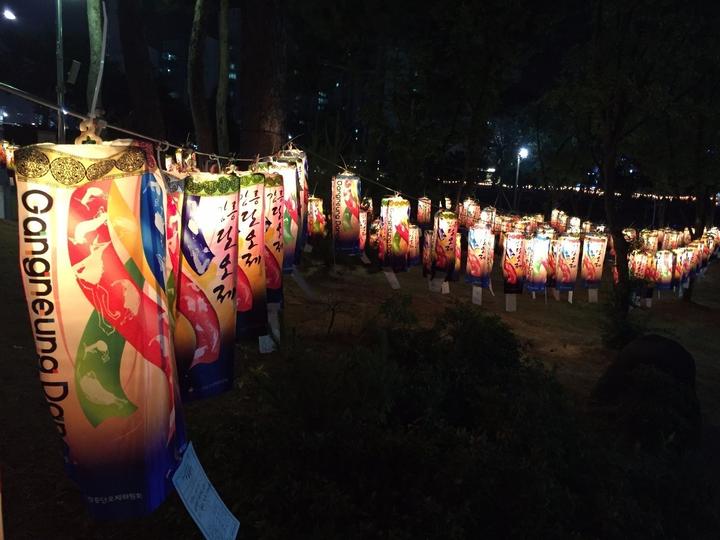 离开中国，德国人划龙舟最起劲？这些国家也爱过端午