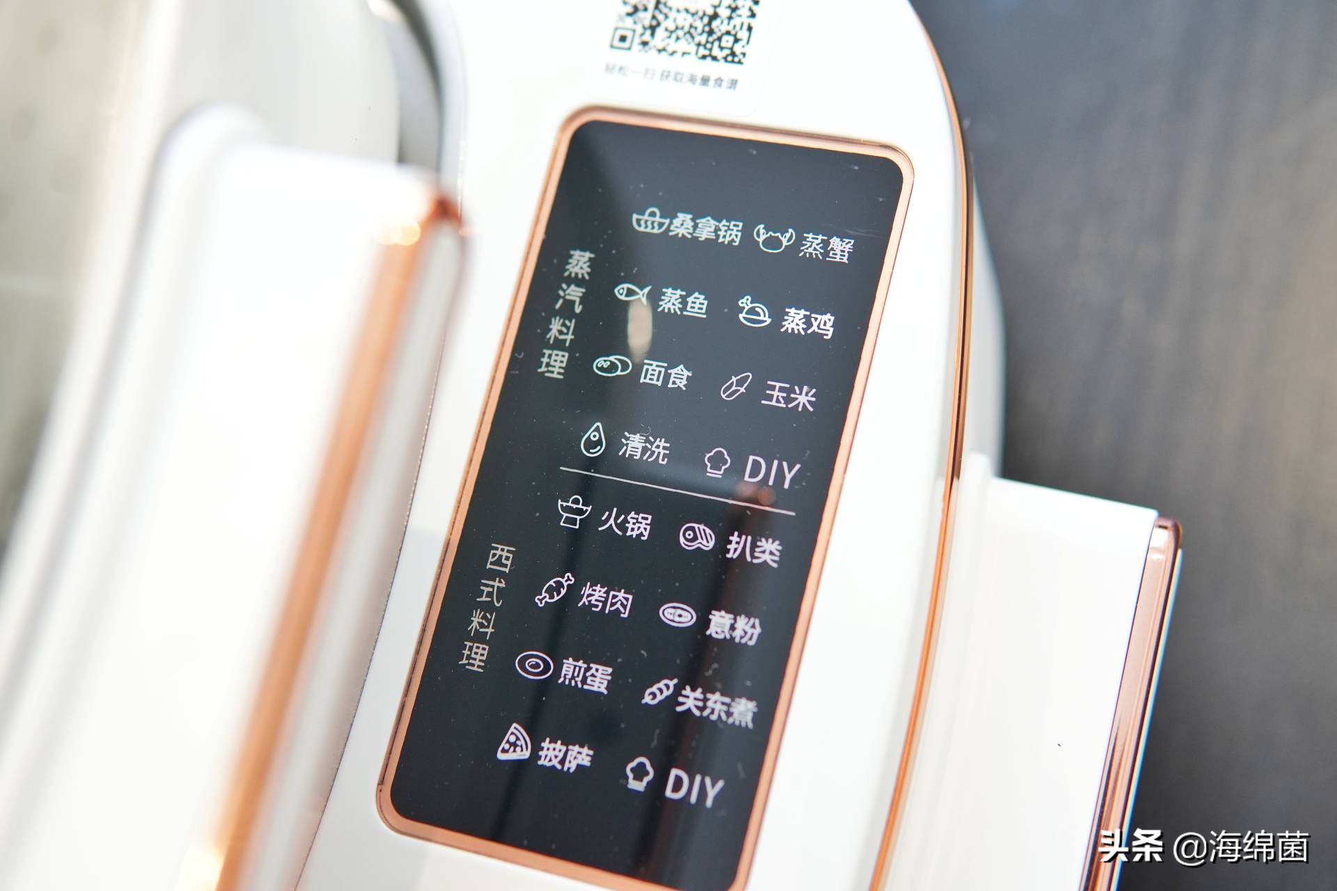 bolali博拉利多功能蒸汽料理锅,蒸汽桑拿锅测评