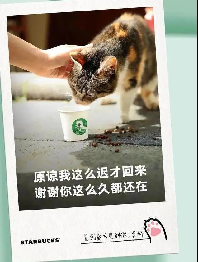 餐厅这样发朋友圈，让顾客主动上门