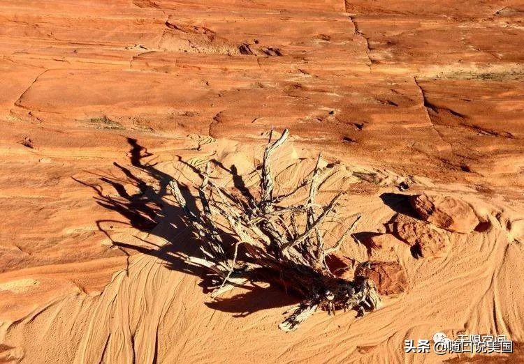 荒野乱斗流彩伊芙强度,荒野行动榴弹怎么用