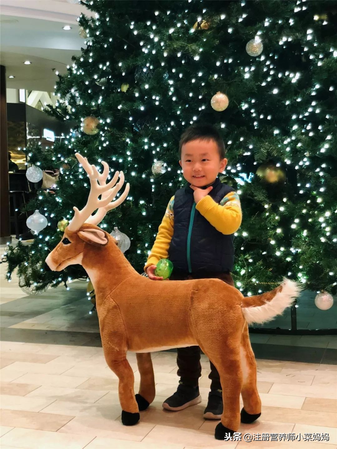 邮轮出国游量子号攻略,皇家加勒比游轮量子号游记