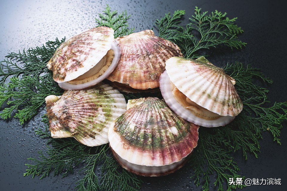 福富渔品牌创始人张铭福：凤凰涅槃展翅飞，水产世界谱传奇