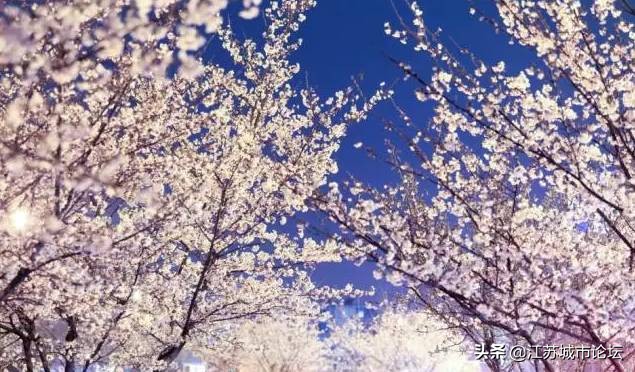 台湾学生拍电影,台湾mycity