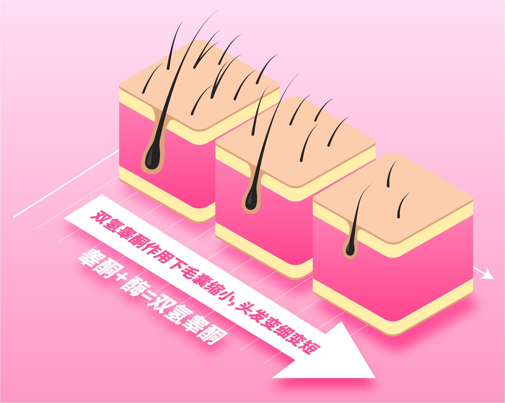 怎样才能不脱发掉发,脱发头发越来越细